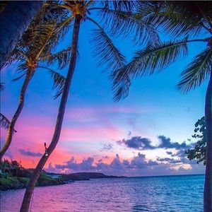 Meet your Posher, Lucy